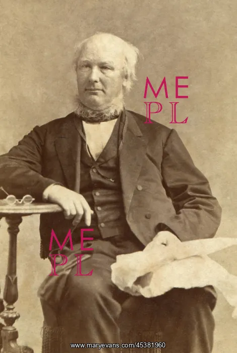 : Horace Greeley, c.1868, was a politically : Horace Greeley, c.1868, was a politically