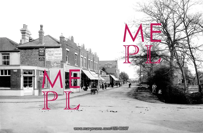  : Horley, Victoria Road 1905