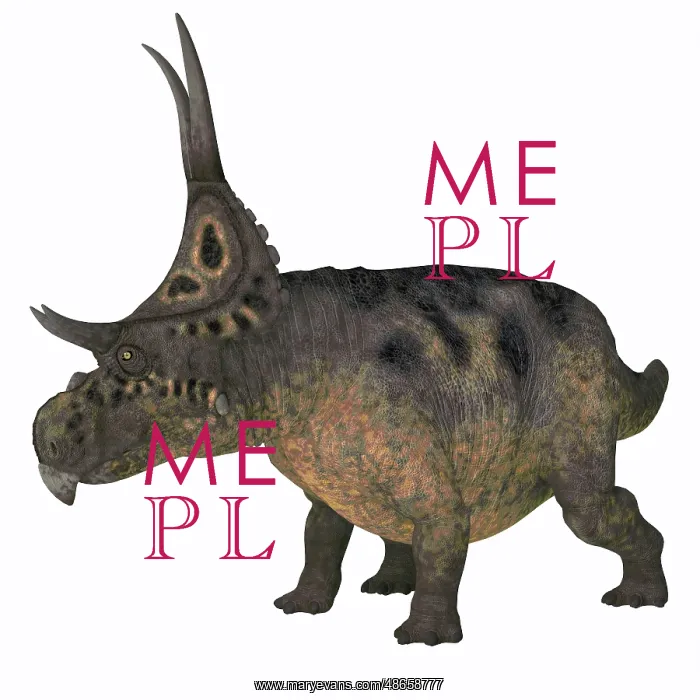 : A horned Diabloceratops dinosaur, side view on : A horned Diabloceratops dinosaur, side view on
