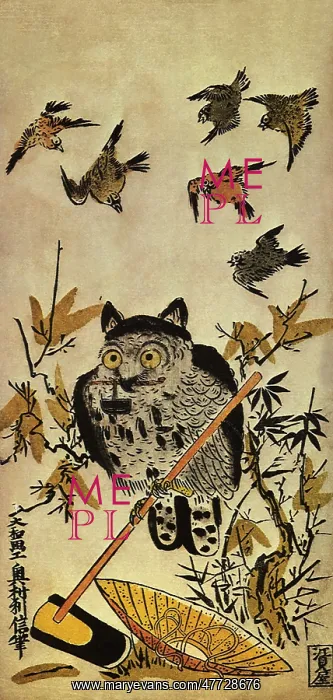  : Horned Owl and Sparrows