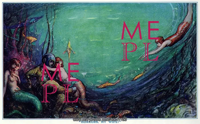 : Horrors, my wife! by Webster Murray : Horrors, my wife! by Webster Murray