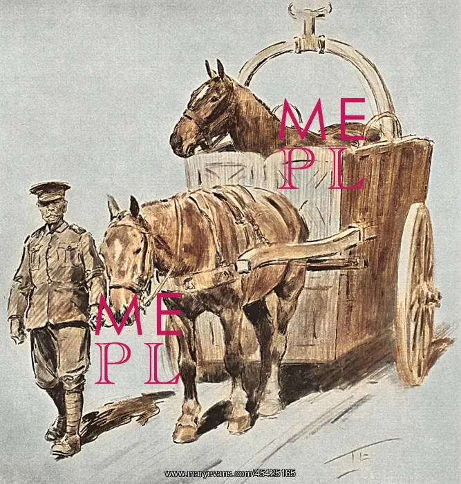 : Horse ambulance, First World War : Horse ambulance, First World War