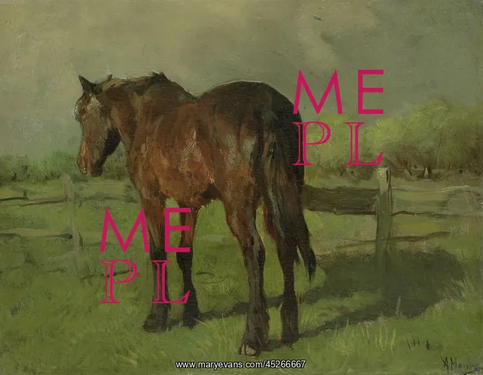 : Horse, by Anton Mauve : Horse, by Anton Mauve