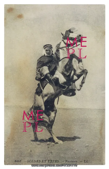  : HORSE & ARAB RIDER C1905
