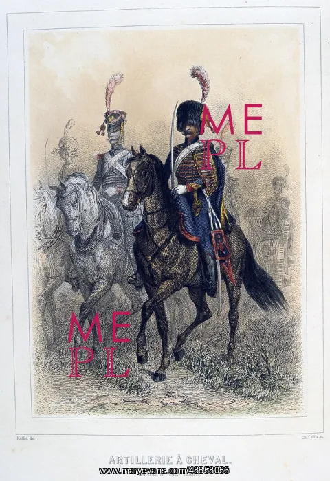 : Horse Artillery: Staff Sergeant. From Napoleon : Horse Artillery: Staff Sergeant. From Napoleon