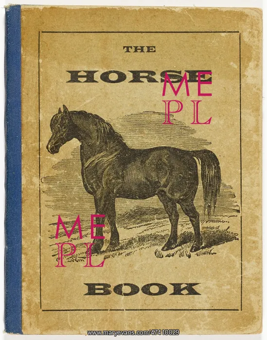 : THE HORSE BOOK 1877 : THE HORSE BOOK 1877