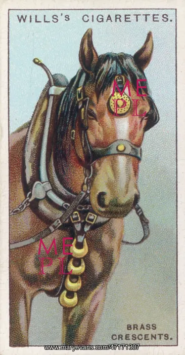 : HORSE BRASSES : HORSE BRASSES