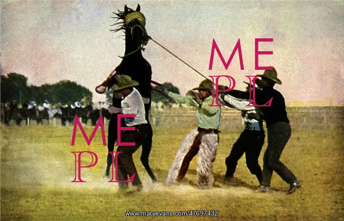 : Horse Breaking : Horse Breaking
