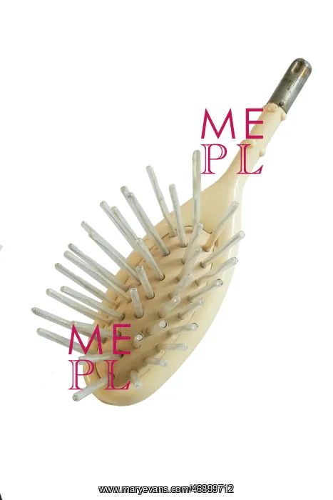 : Horse Brush : Horse Brush