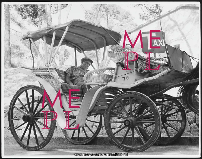 : HORSE CAB IN MAJORCA : HORSE CAB IN MAJORCA