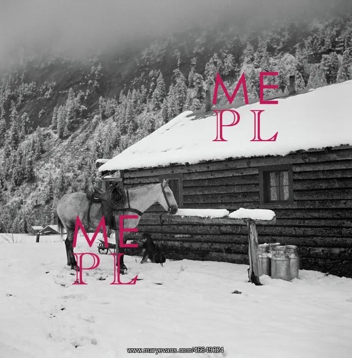 : Horse - Cabin - Snow - Ranch : Horse - Cabin - Snow - Ranch