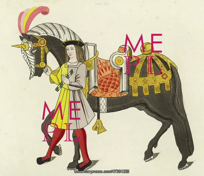 : HORSE CAPARISONED : HORSE CAPARISONED