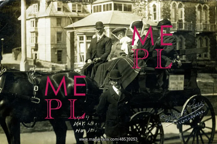 : Horse & Carriage Pleasure Trippers, Ilfracombe, Devon : Horse & Carriage Pleasure Trippers, Ilfracombe, Devon
