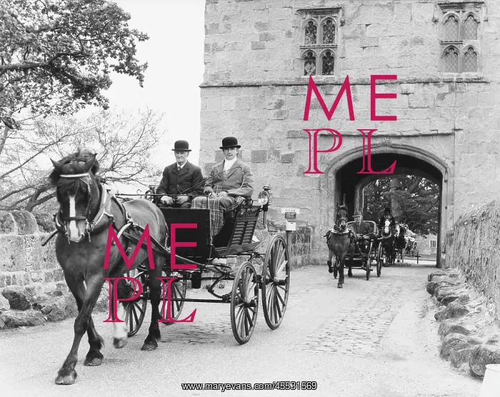 : HORSE CARRIAGE RALLY : HORSE CARRIAGE RALLY