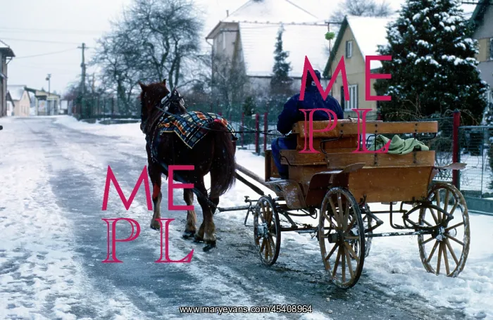 : Horse carriage - winter - snow : Horse carriage - winter - snow