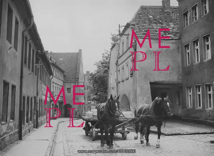 : Horse and cart in Striegau, 1935 : Horse and cart in Striegau, 1935