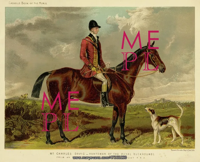 : HORSE / CHARLES DAVIS : HORSE / CHARLES DAVIS