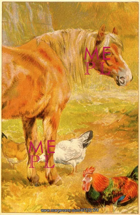  : HORSE & CHICKENS C1910