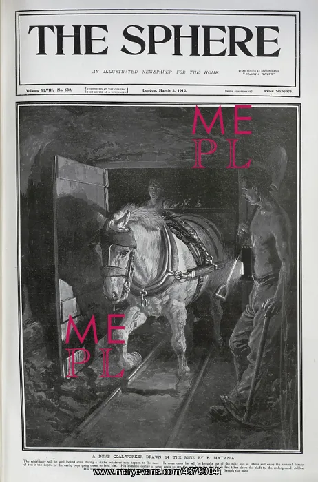 : Horse in coalmine : Horse in coalmine
