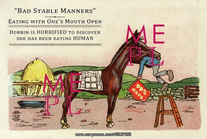 : A horse disgusted to find she is eating HUMAN ! : A horse disgusted to find she is eating HUMAN !