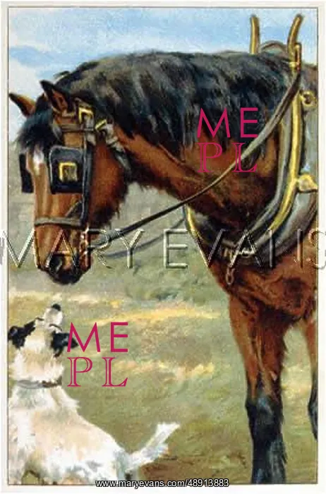  : HORSE & DOG C1910