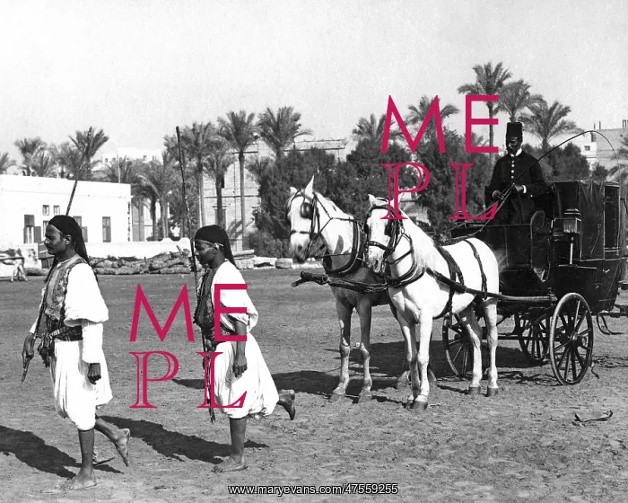 : Horse-drawn carriage, Egypt : Horse-drawn carriage, Egypt