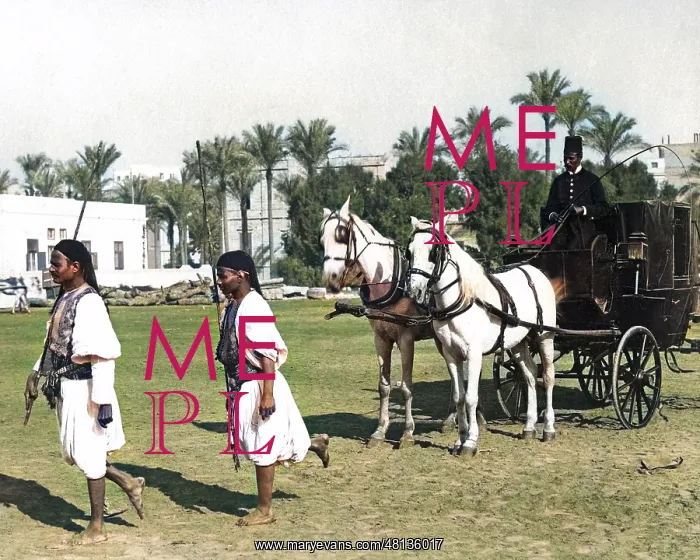 : Horse-drawn carriage, Egypt : Horse-drawn carriage, Egypt