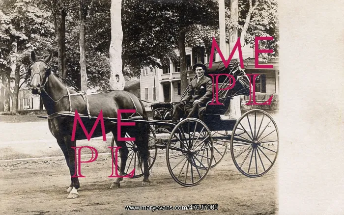  : Horse-drawn carriage, USA