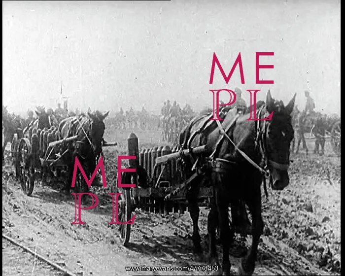 : Horse Drawn Carts Carrying Batches Of Artillery Shells : Horse Drawn Carts Carrying Batches Of Artillery Shells