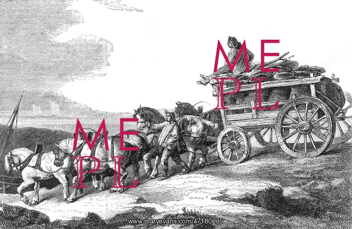  : Horse Drawn Coal Wagon