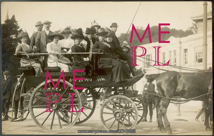 : HORSE DRAWN EXCURSION : HORSE DRAWN EXCURSION