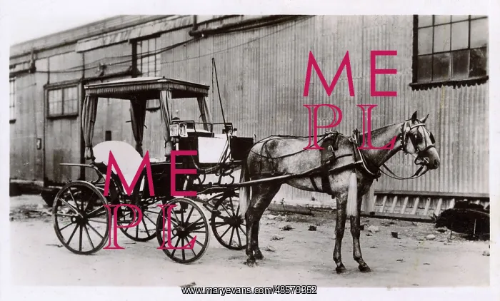 : Horse-drawn hackney carriage, Gibraltar : Horse-drawn hackney carriage, Gibraltar