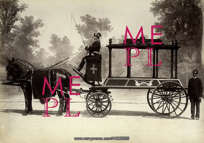 : Horse-drawn hearse : Horse-drawn hearse