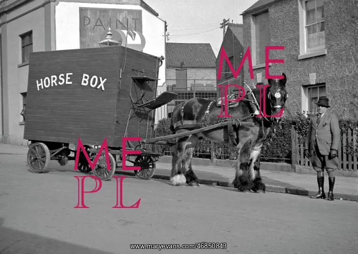 : Horse-drawn horse box : Horse-drawn horse box