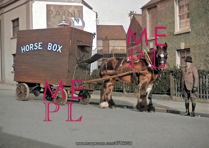 : Horse-drawn horse box : Horse-drawn horse box