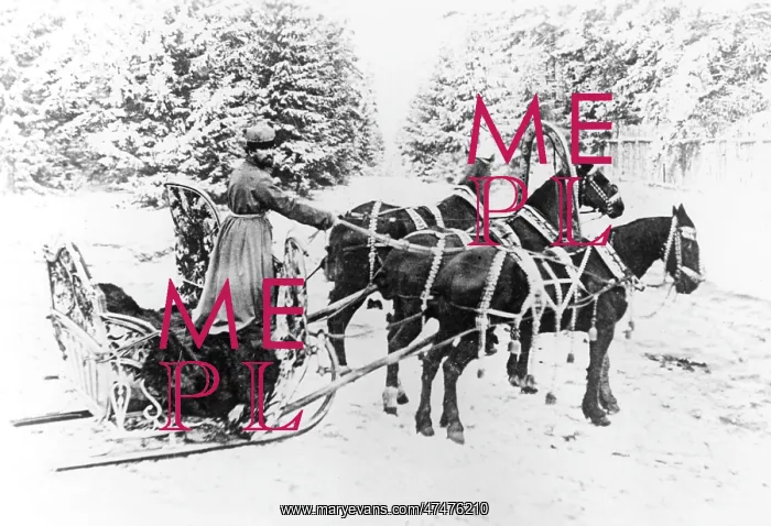 : Horse-Drawn Sledge - Russian Troika : Horse-Drawn Sledge - Russian Troika