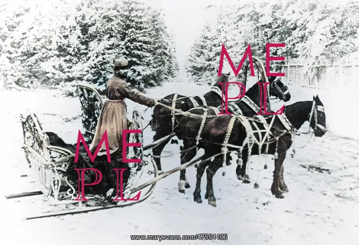 : Horse-Drawn Sledge - Russian Troika : Horse-Drawn Sledge - Russian Troika
