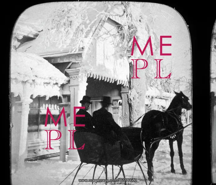 : Horse-Drawn Sleigh : Horse-Drawn Sleigh