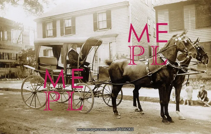 : Horse-drawn surrey, USA : Horse-drawn surrey, USA