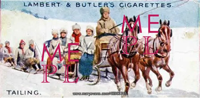 : HORSE-DRAWN TAILING 1914 : HORSE-DRAWN TAILING 1914