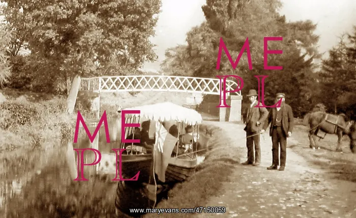 : A horse drawn trip on the Llangollen Canal : A horse drawn trip on the Llangollen Canal
