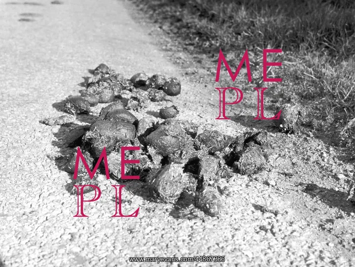 : HORSE DROPPINGS