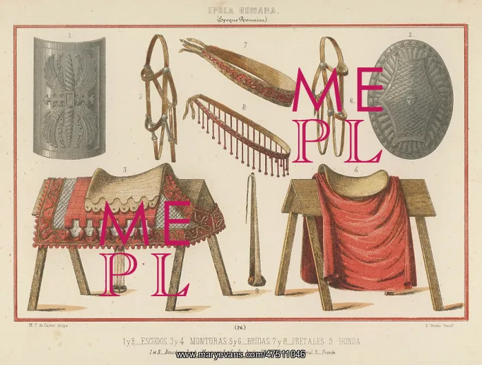 : HORSE EQUIPMENT - ROMAN# : HORSE EQUIPMENT - ROMAN#