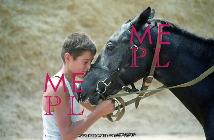 : Horse farm, 1996 : Horse farm, 1996