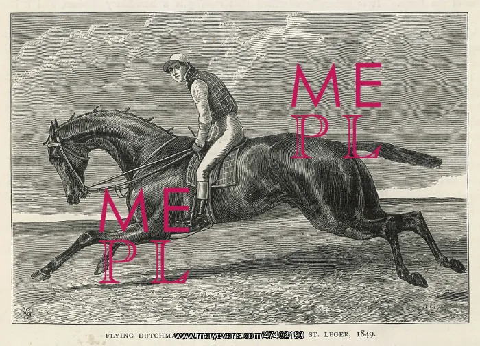 : Horse Flying Dutchman : Horse Flying Dutchman