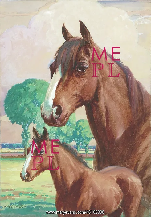  : Horse and foal