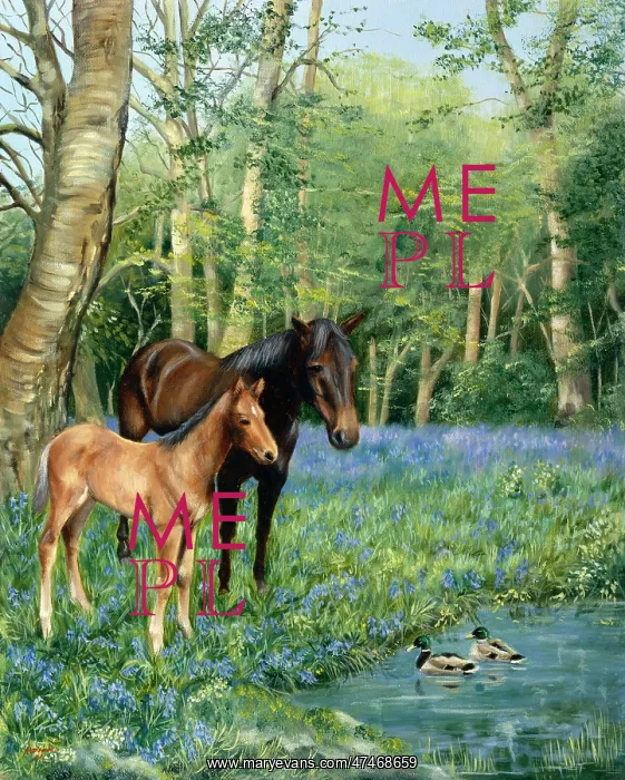 : Horse and Foal -- in spring meadow : Horse and Foal -- in spring meadow
