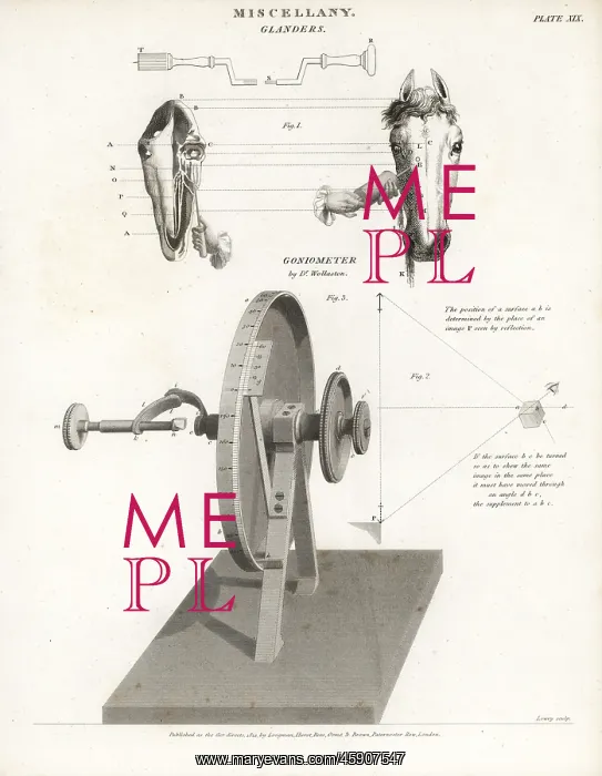 : Horse glanders and Wollaston's goniometer : Horse glanders and Wollaston's goniometer