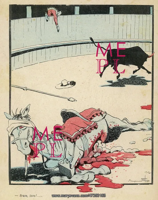  : HORSE GORED BY BULL