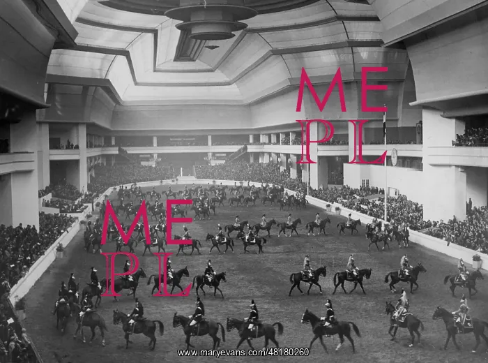 : Horse show at the Grand Palais, 1937 : Horse show at the Grand Palais, 1937